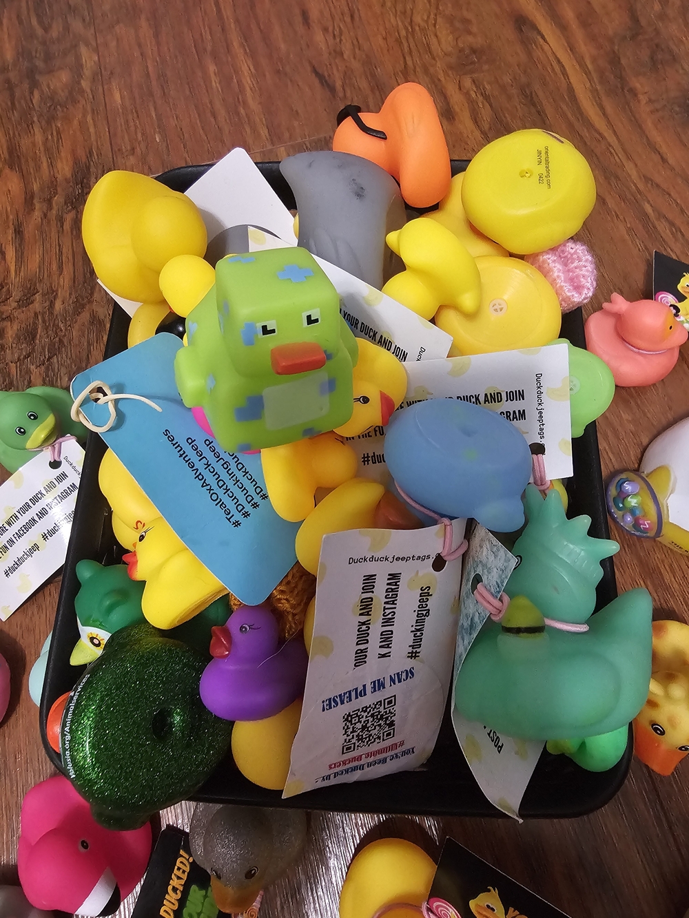 Assorted Jeeper Ducks! 🐤